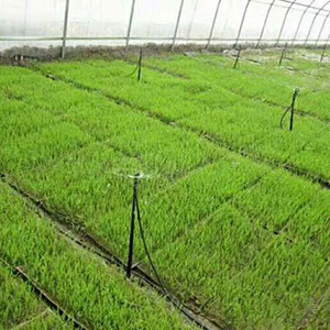 四川节水灌溉PE管使用要悉心维护不容小觑