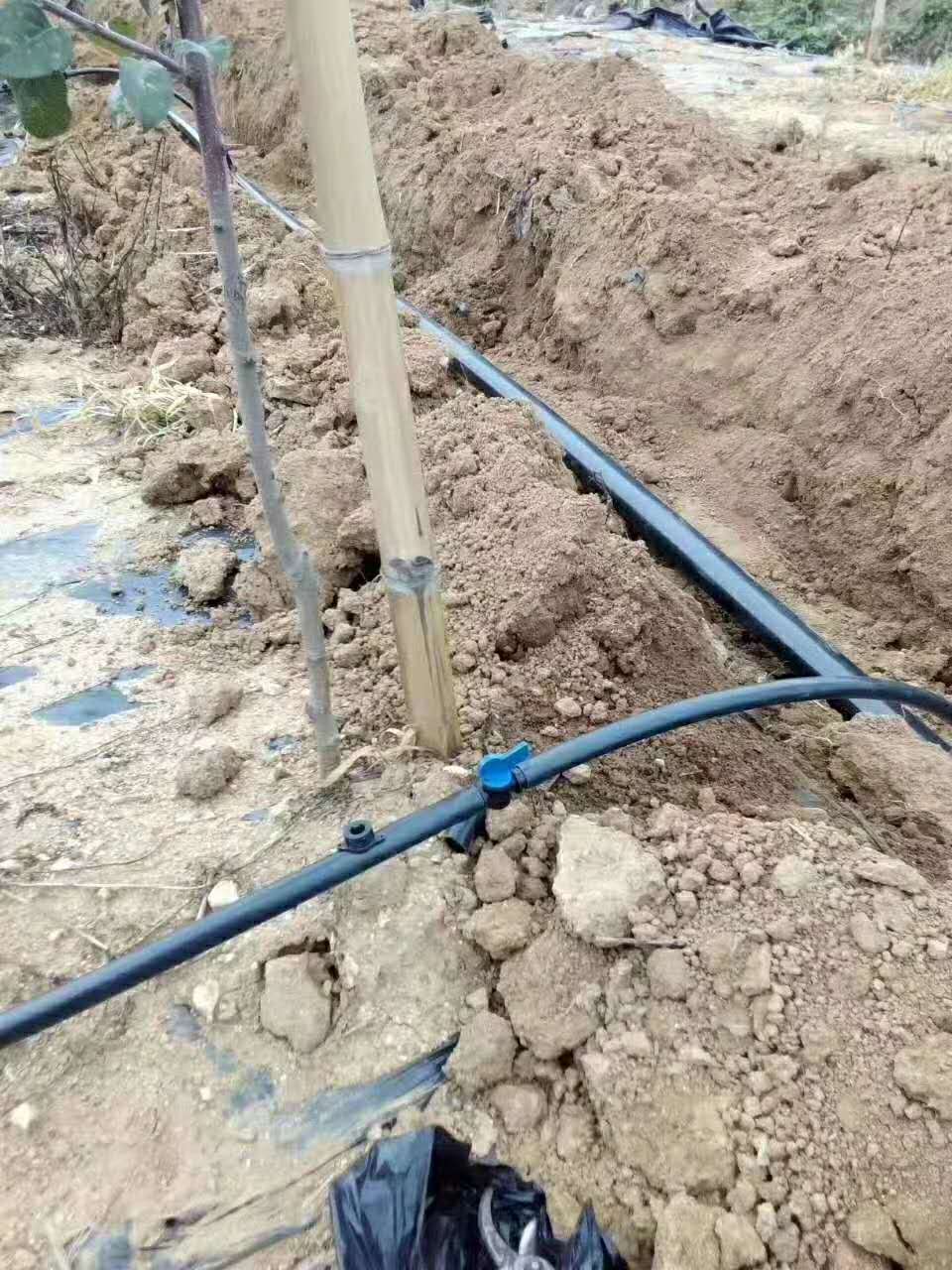 四川果树滴灌有利于果园栽培管理