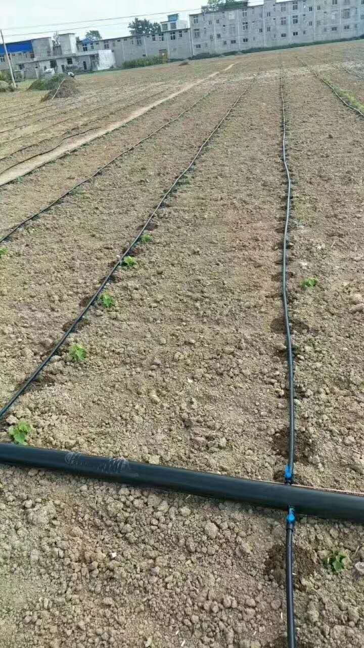 四川滴灌带价格存在差距的原因